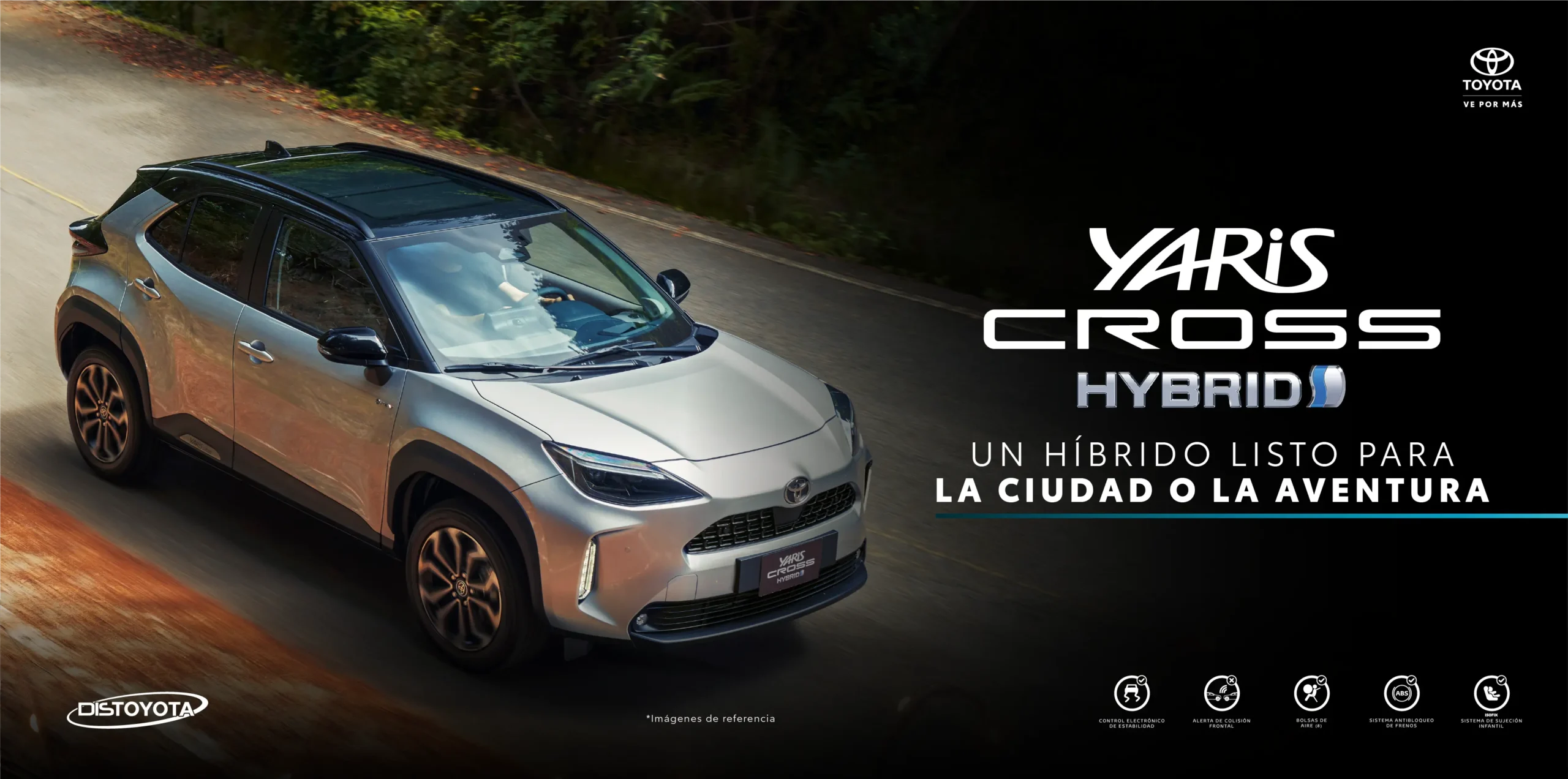 banner carro