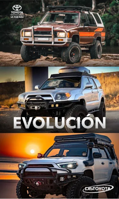 nosotros kv mb