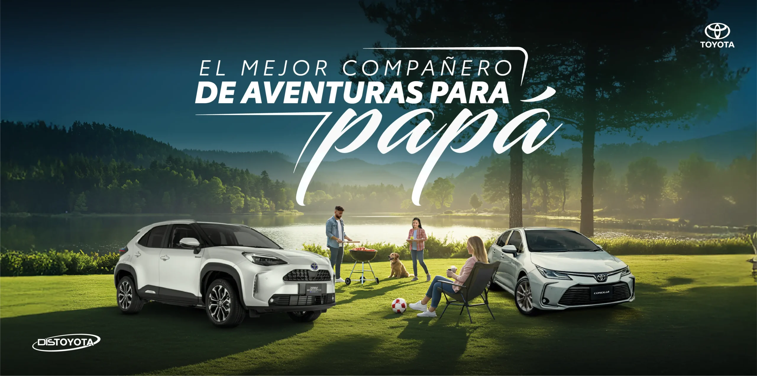 BANNER HOME copia