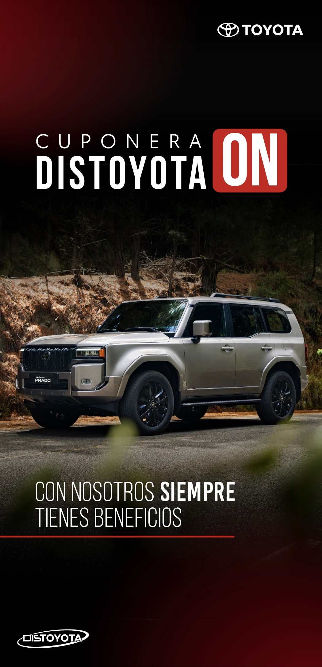 BANNER PROMOCIONES MOBILE