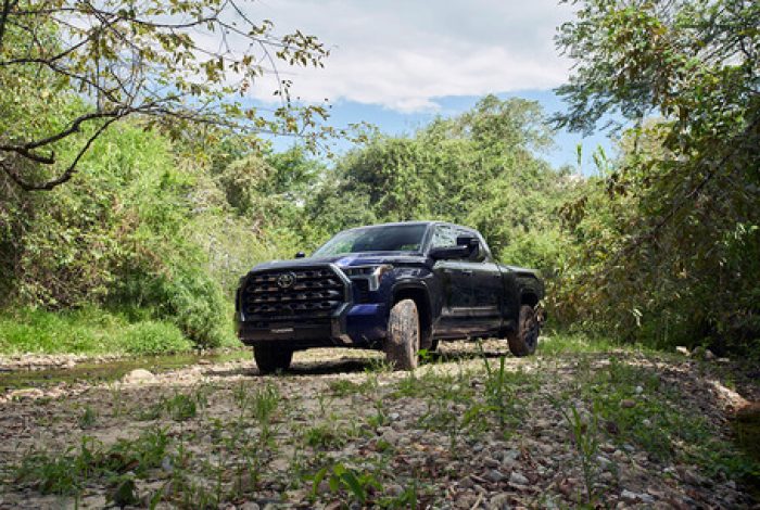 Exterior Tundra 4