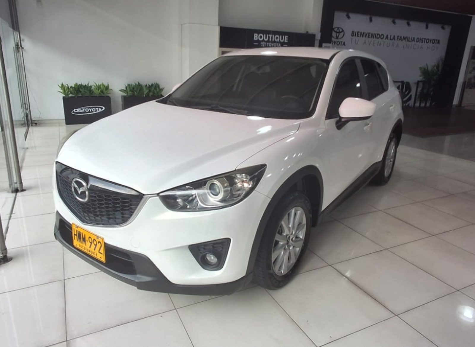 WhatsApp Image 2025-11-14 at 3.16.44 PM