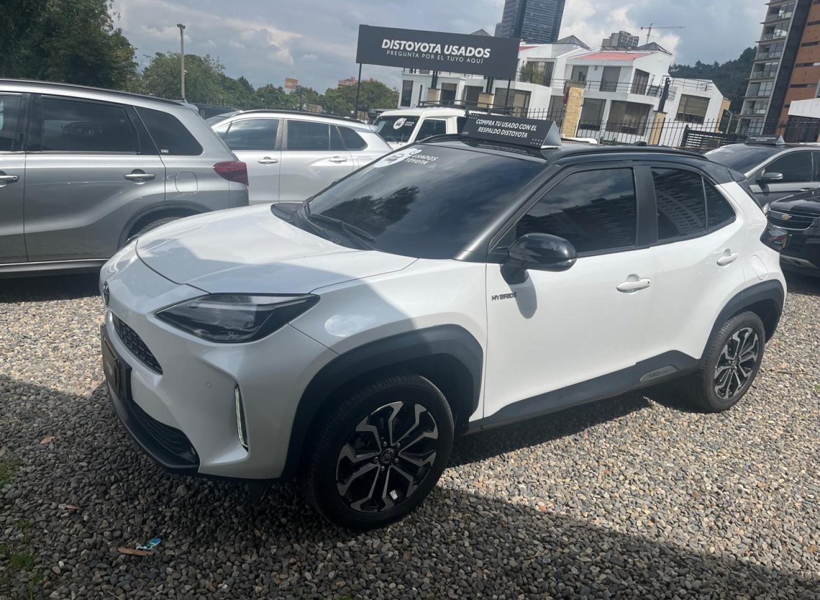 WhatsApp Image 2025-12-02 at 11.14.46 AM