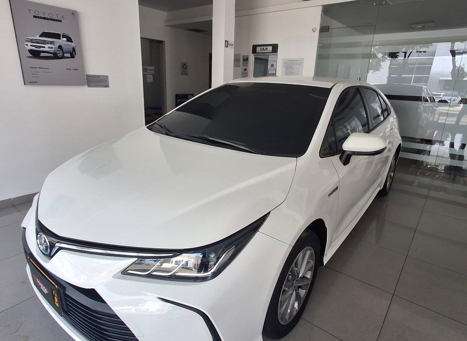 WhatsApp Image 2026-04-07 at 12.03.07 PM (3)